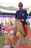 Sunil Photo Gallery